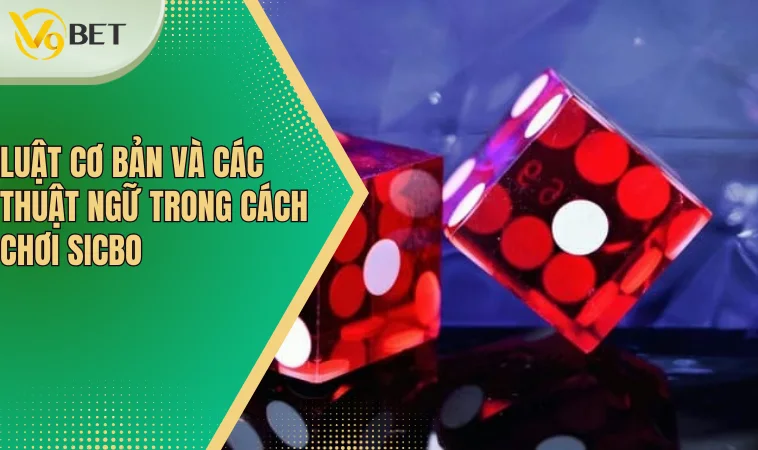 Luật cơ bản và các thuật ngữ trong cách chơi Sicbo