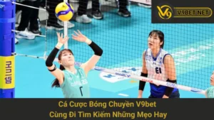 Cá Cược Bóng Chuyền V9bet - Cùng Đi Tìm Kiếm Những Mẹo Hay